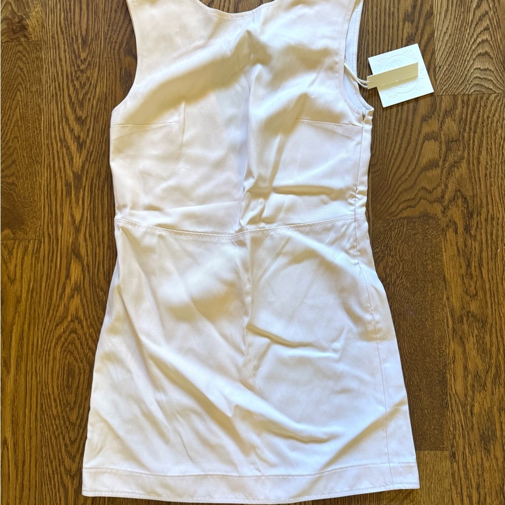 Loulou Studio Pale Pink Mini Dress